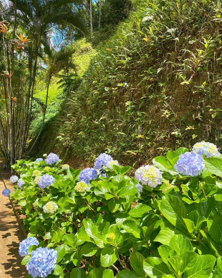 إنجينهيرو باولو دي فرونتين Hotel Fazenda Bonanza المظهر الخارجي الصورة