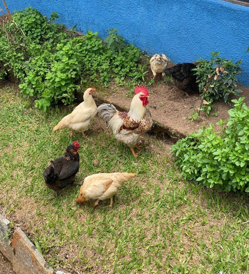 إنجينهيرو باولو دي فرونتين Hotel Fazenda Bonanza المظهر الخارجي الصورة