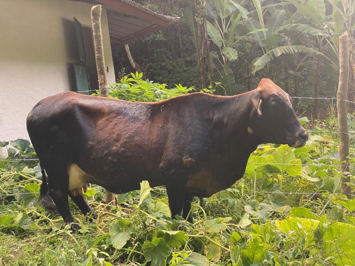 إنجينهيرو باولو دي فرونتين Hotel Fazenda Bonanza المظهر الخارجي الصورة